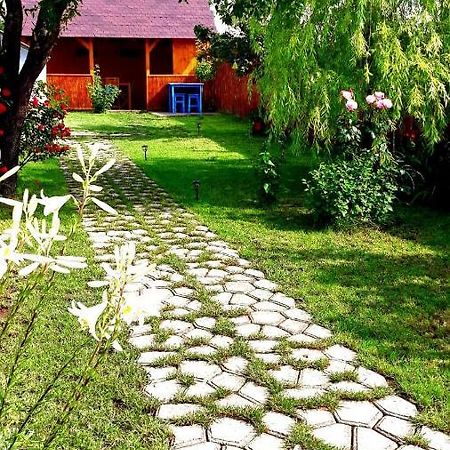 فيلا Casa Pavel جوريلوفكا المظهر الخارجي الصورة